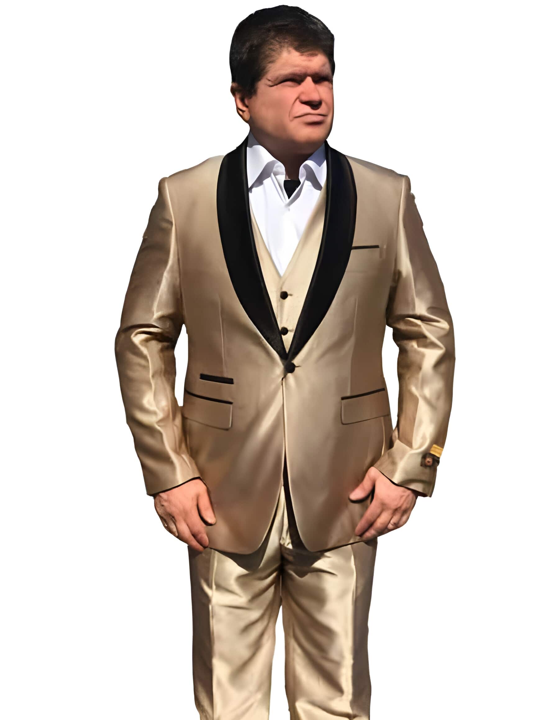 1 Button Shawl Lapel Gold Suit
