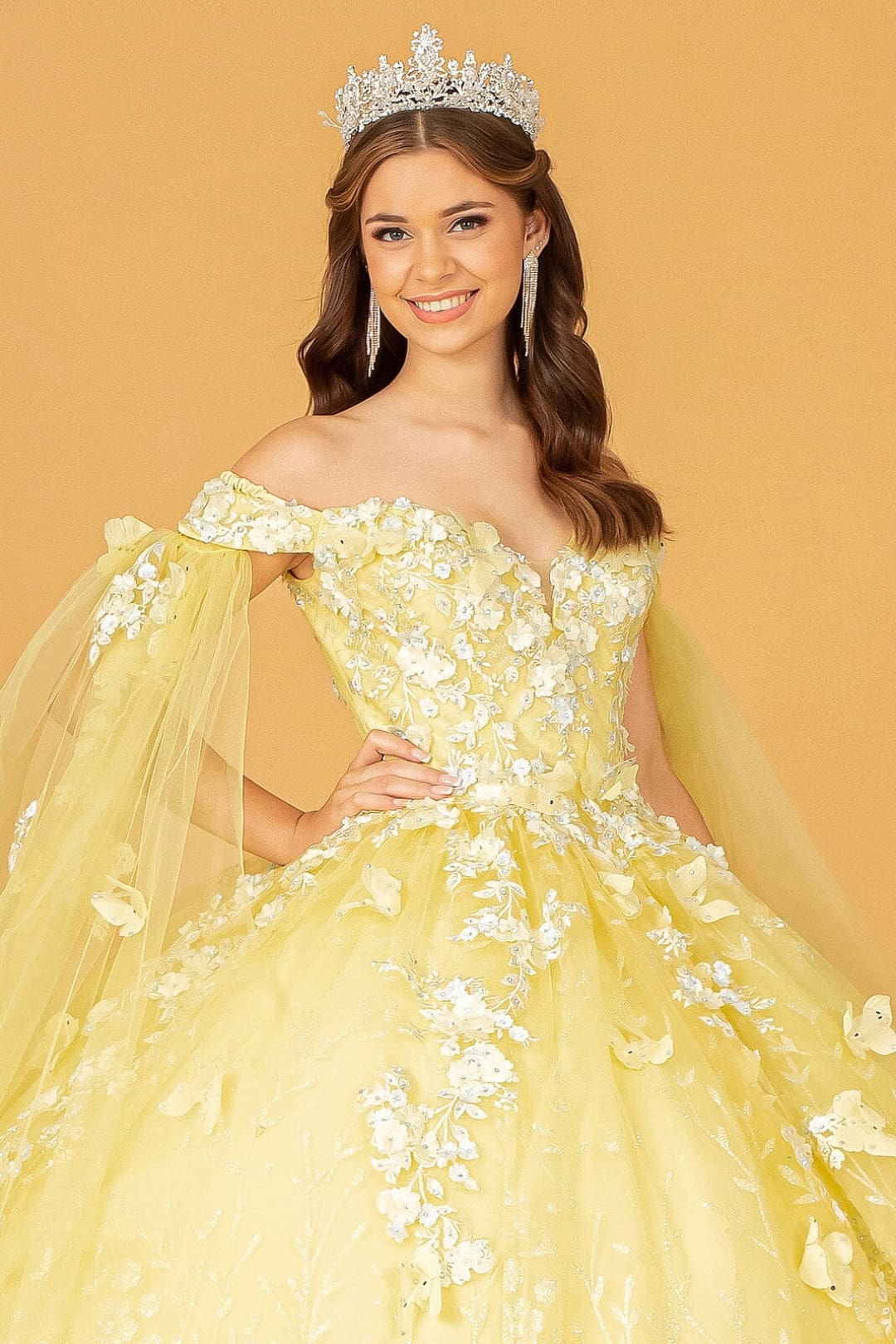 3D Butterfly Cape Sleeve Ball Gown by Elizabeth KGL3111
