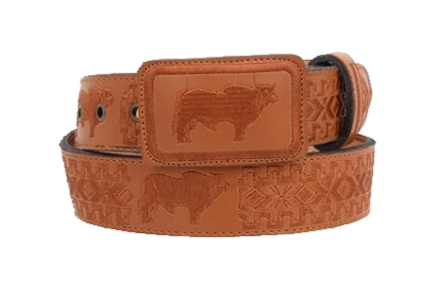 π²π½ Cintos Charros Mexicanos π²π½