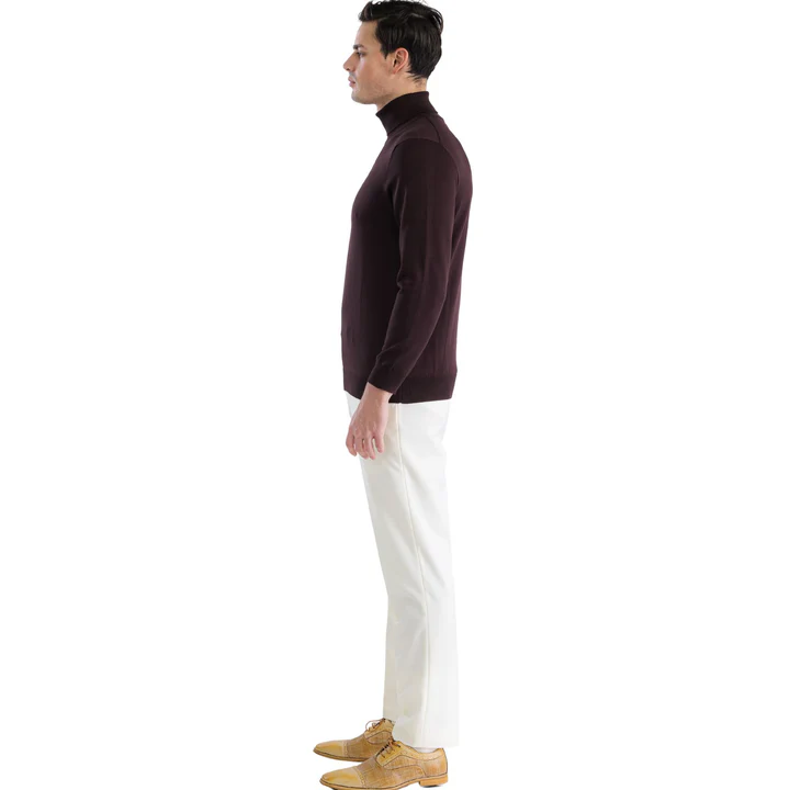 Brown Pullover Turtleneck Sweater for Men