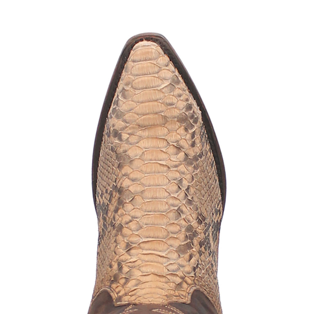 Men's Python Snip Toe Western Boots by Dan Post
