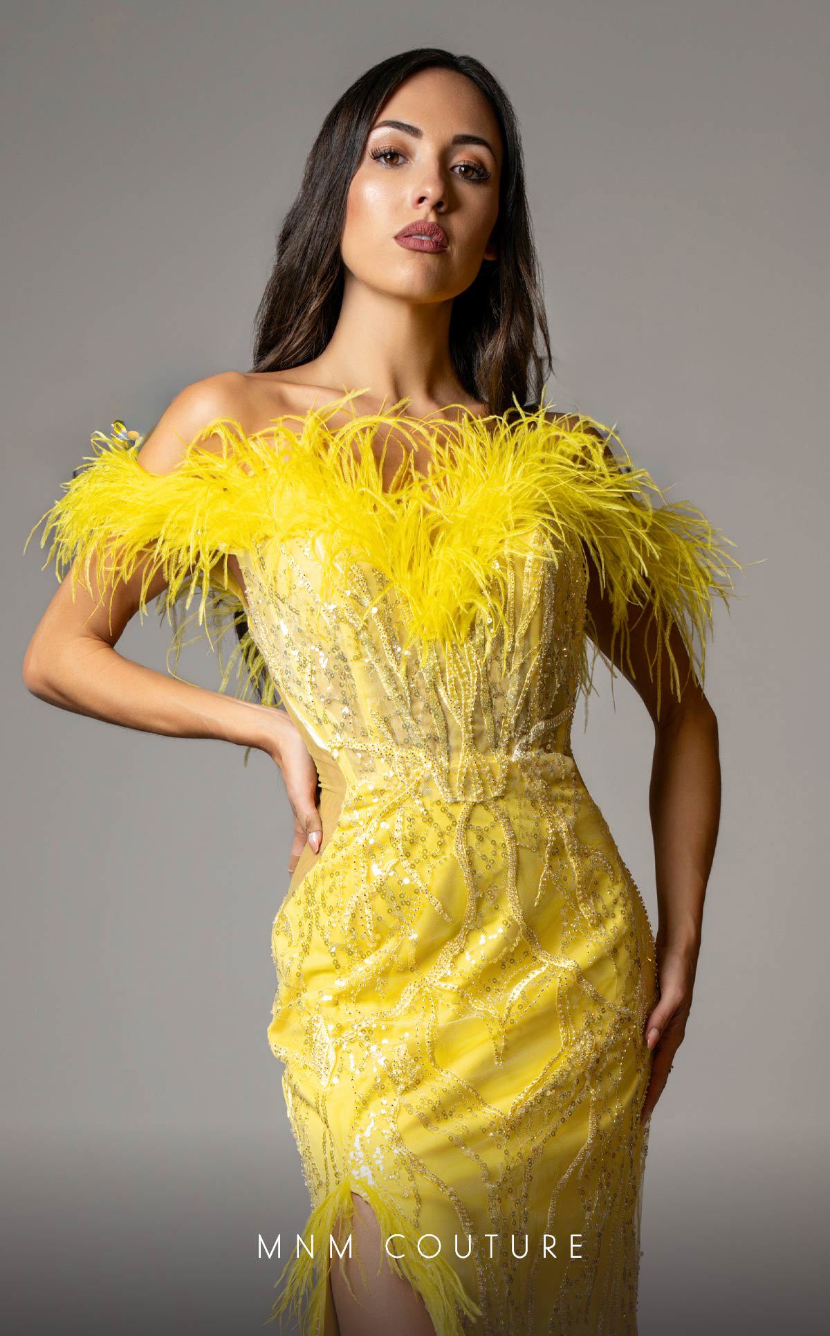 MNM Couture M1048 Yellow Embroidered Mesh Gown with Feather Accents