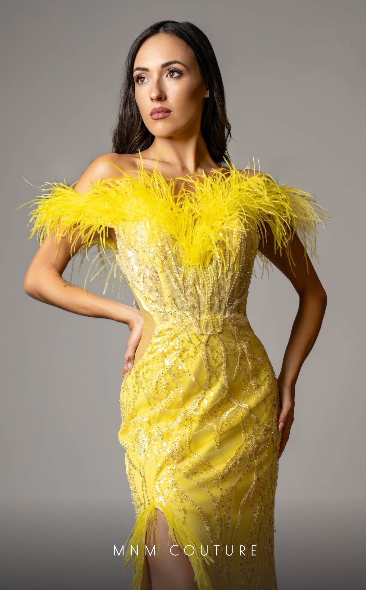 MNM Couture M1048 Yellow Embroidered Mesh Gown with Feather Accents