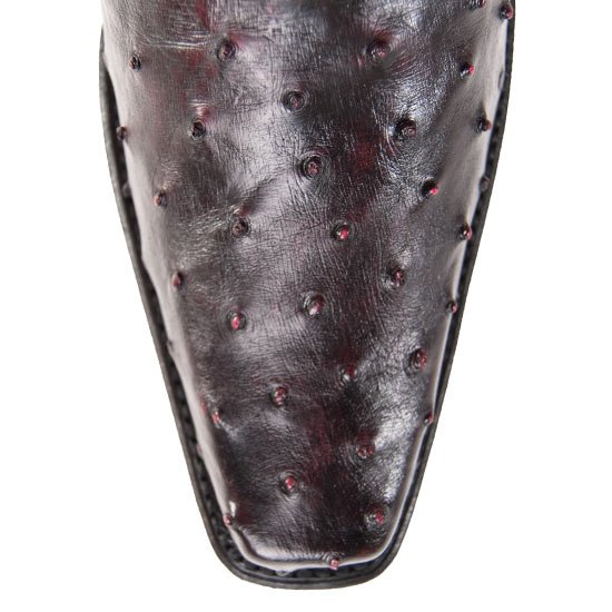 Botas de Avestruz Horma Europea LAB-760318