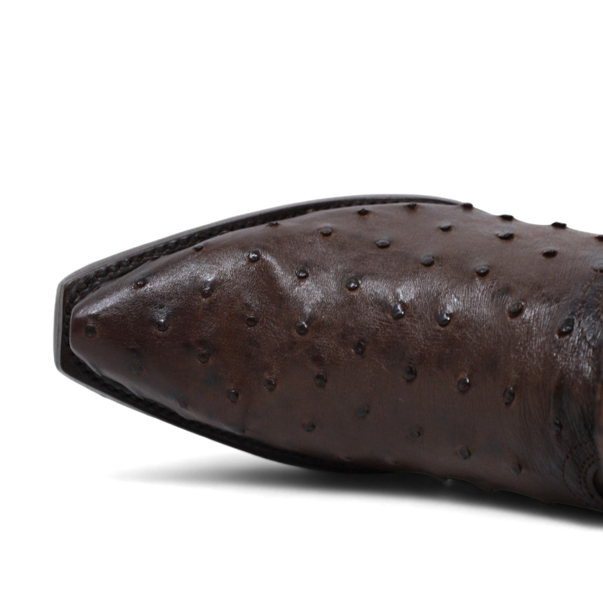 Botas de Avestruz Punta Recortada WW-294L0316