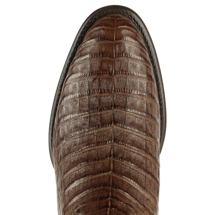Botas de Cocodrilo Caiman Panza Roper Color Cafe LAB