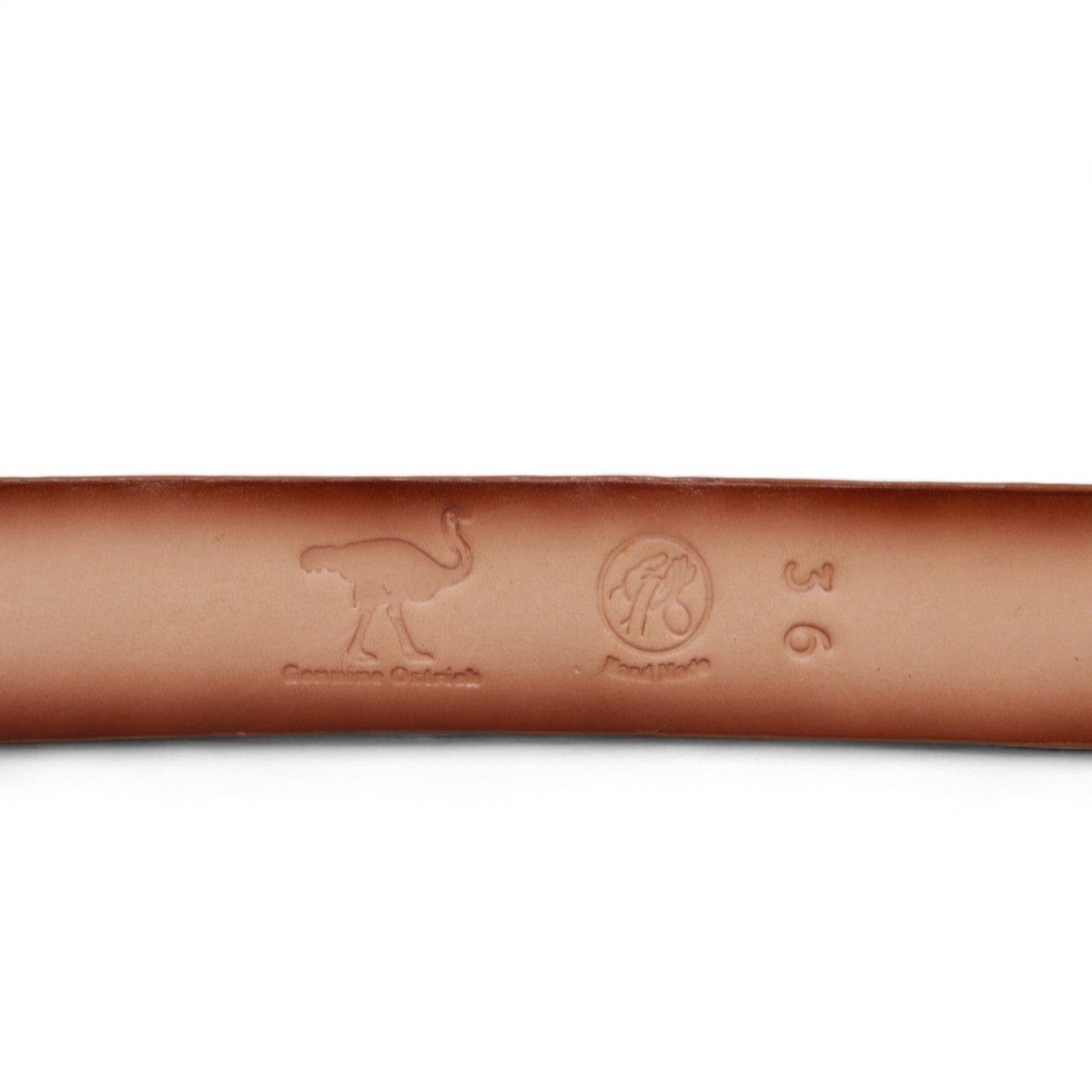 Cinto Vaquero de Avestruz Original por Los Altos Boots