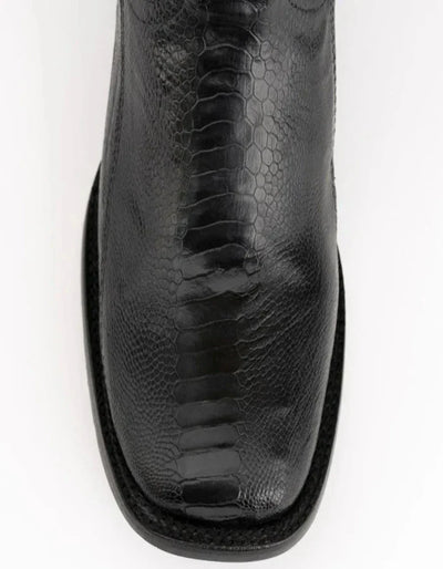 Ferrini Nash - Ostrich Leg