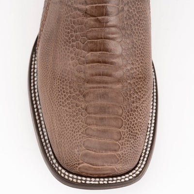 Ferrini Nash - Ostrich Leg