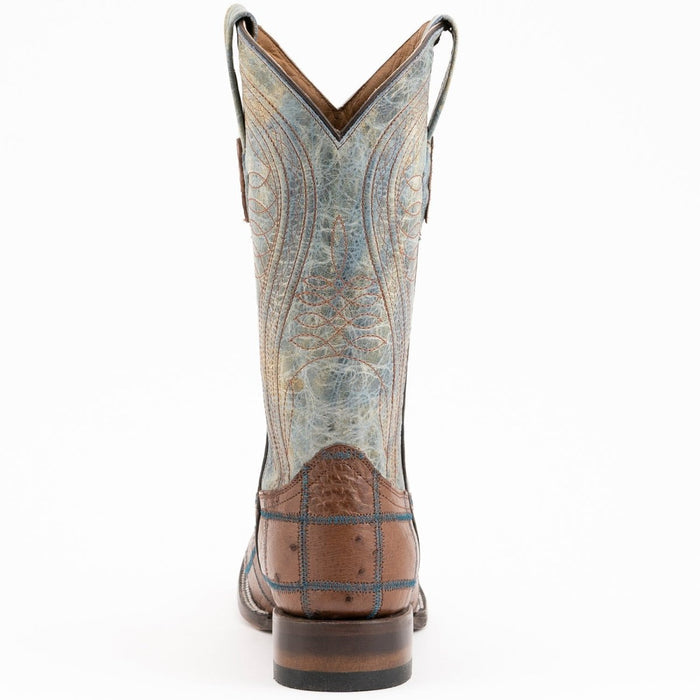 Ferrini Pinto - Patch Ostrich