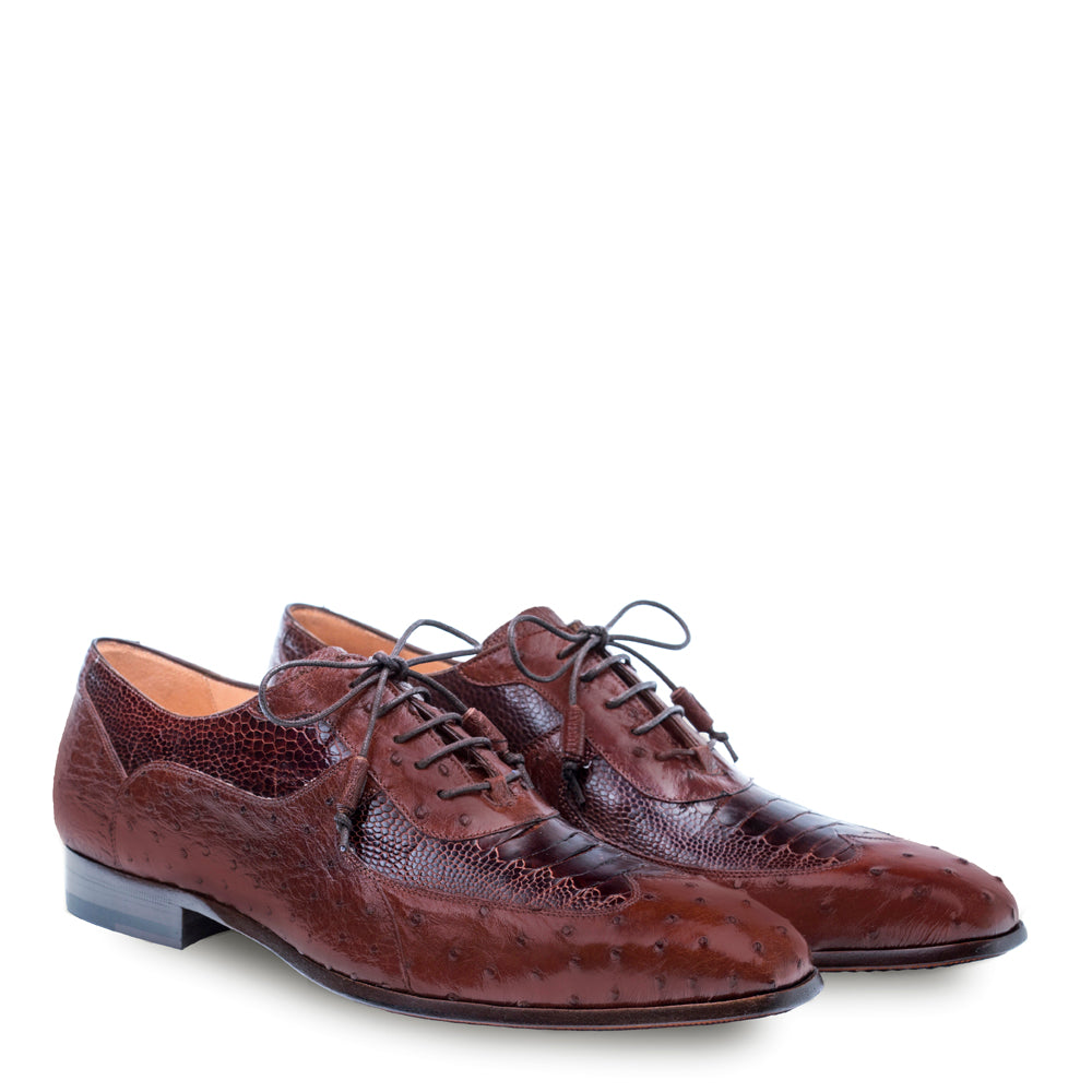 Mezlan Getty Ostrich Wingtip Oxford in Cognac