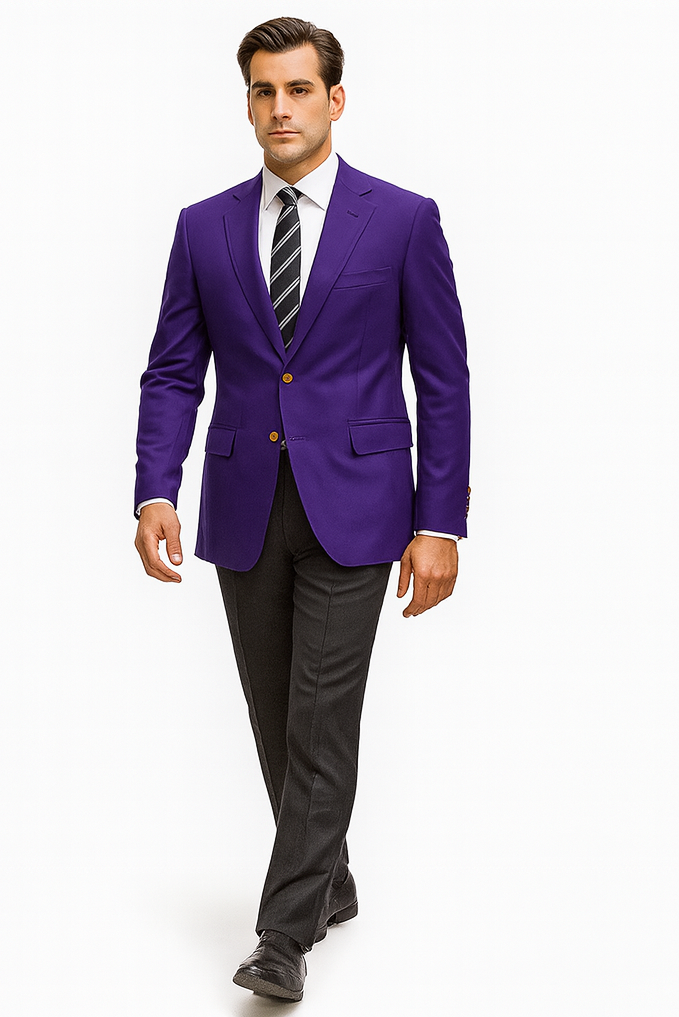Neil Allyn Men's Purple Blazer Jacket