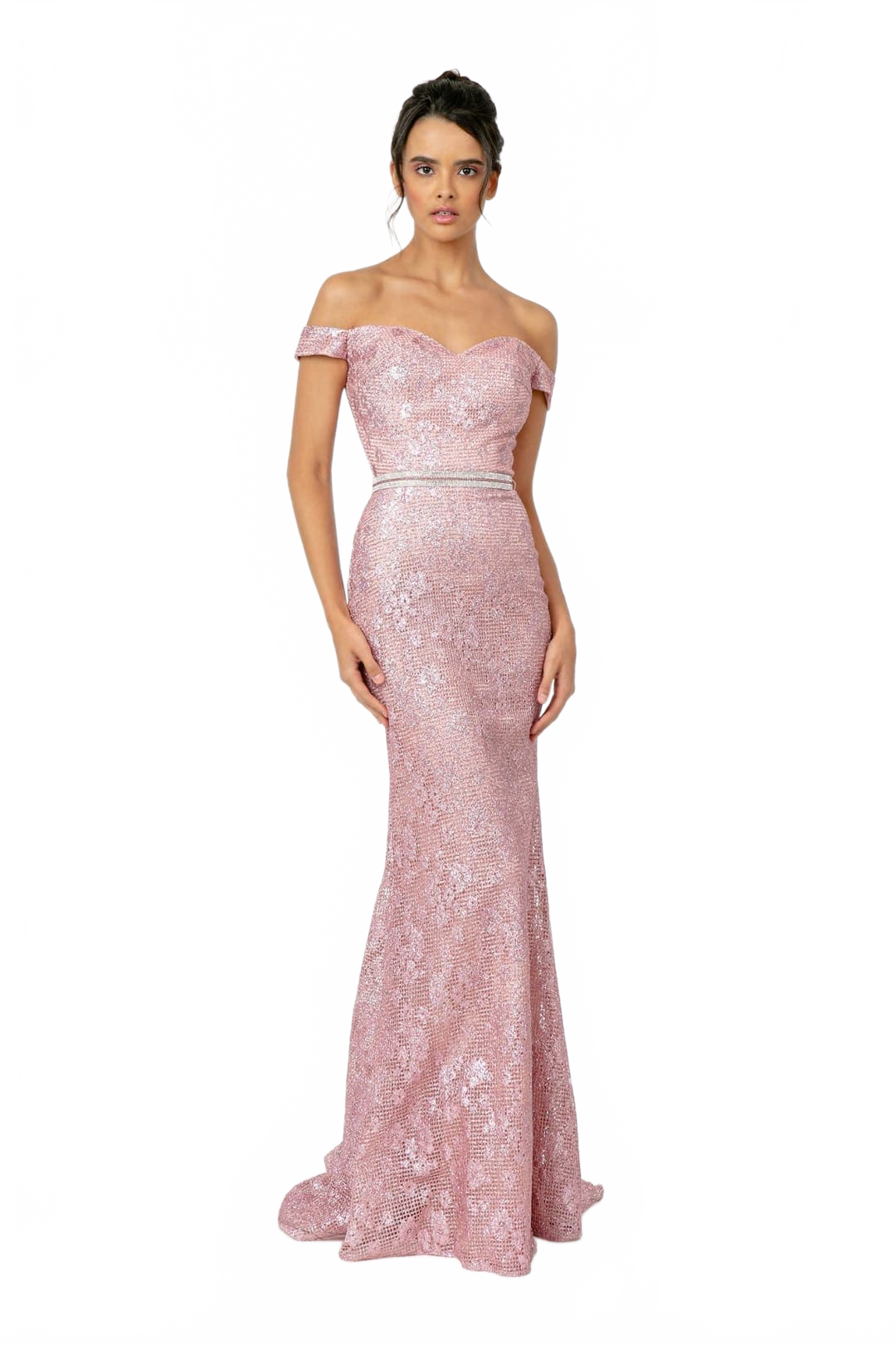 Special Occasion Plus Size Dress by Elizabeth KGL1829
