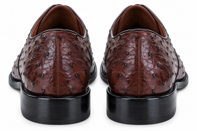 Men's Brown Genuine Ostrich Oxfords Style Los Altos Dress Shoes Mens Ostrich Skin Shoes