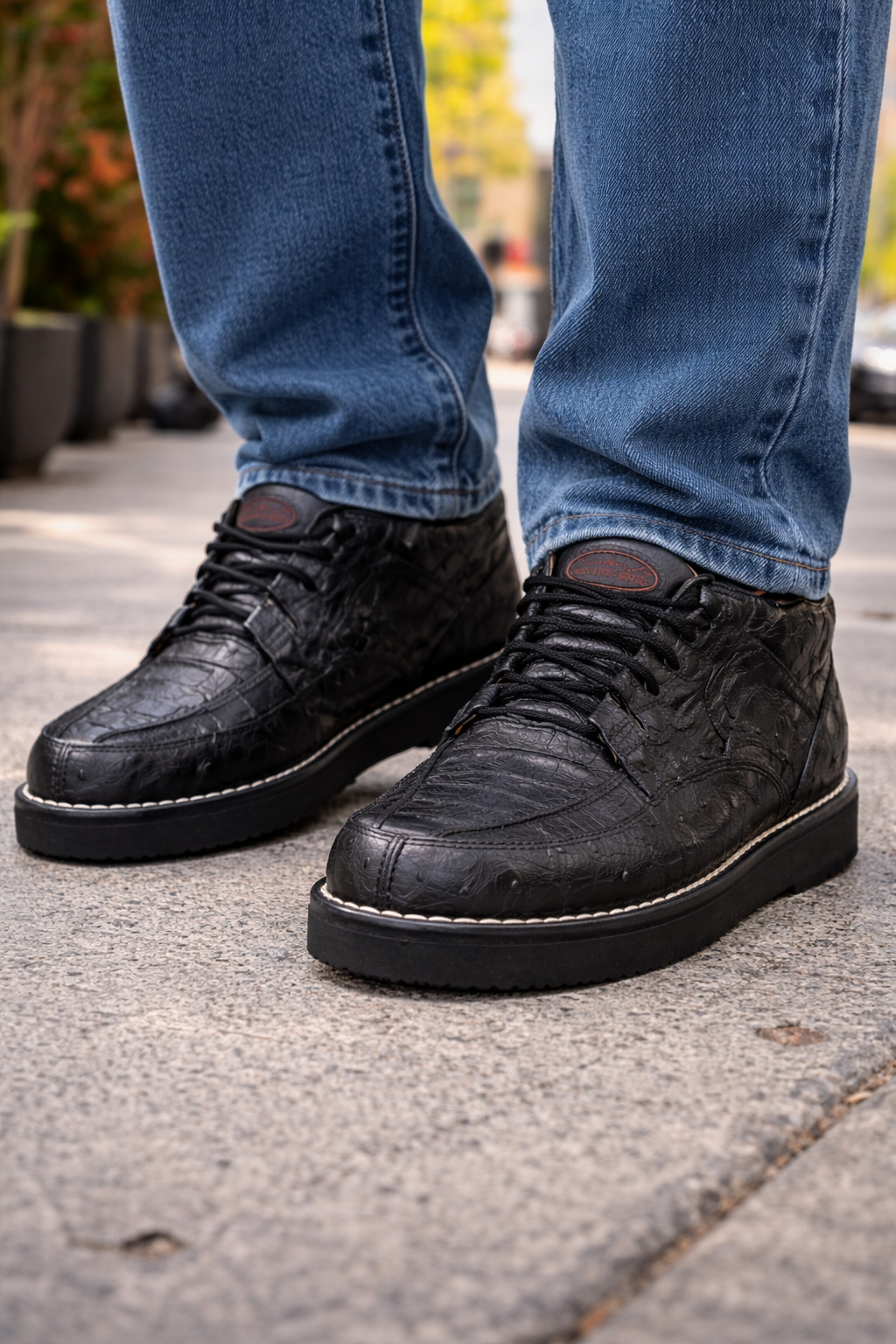 Zapato Caimán y Avestruz LAB-ZA0502 by Los Altos Boots