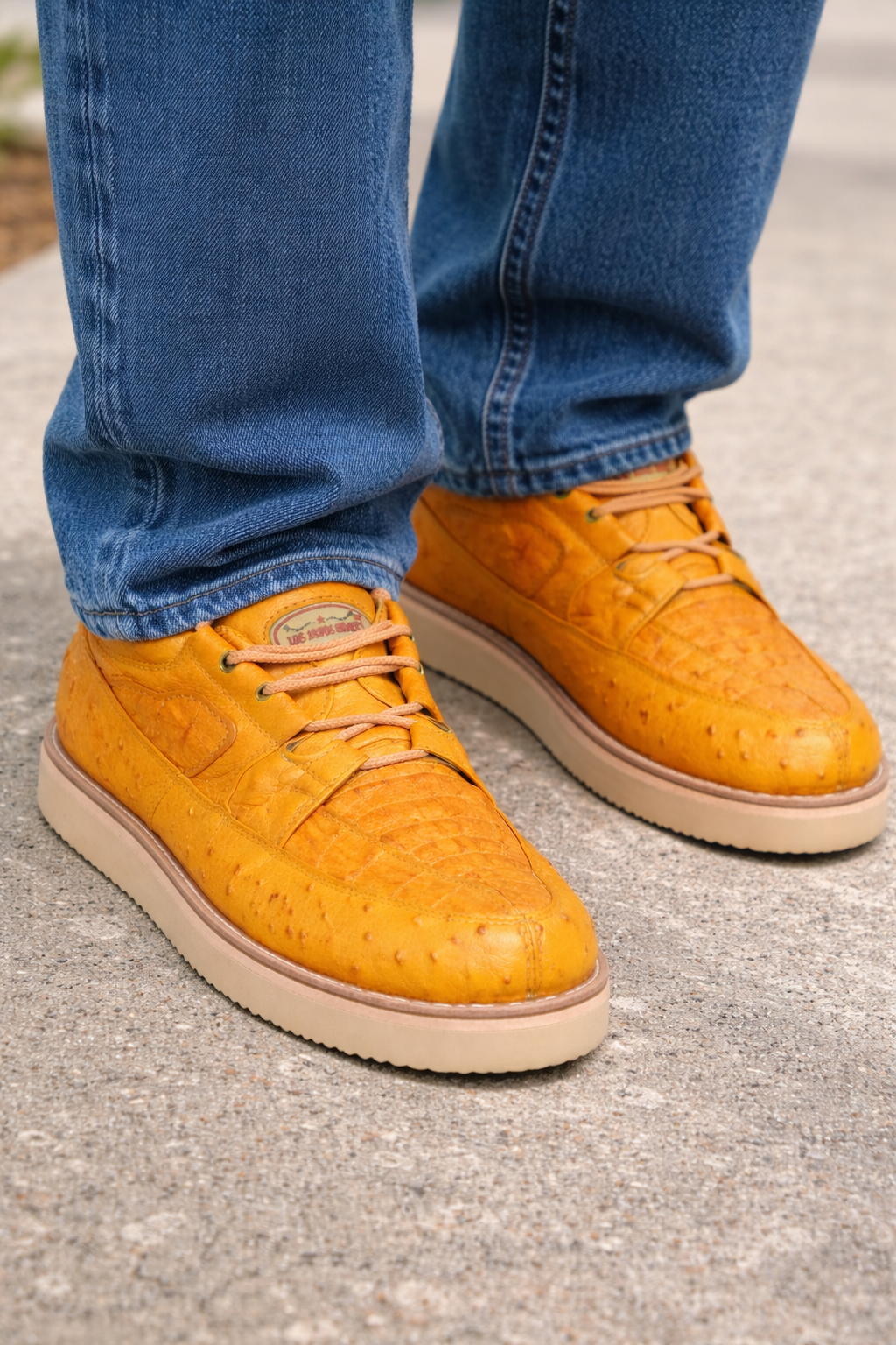 Zapato Piel Caiman y Avestruz LAB-ZA050202