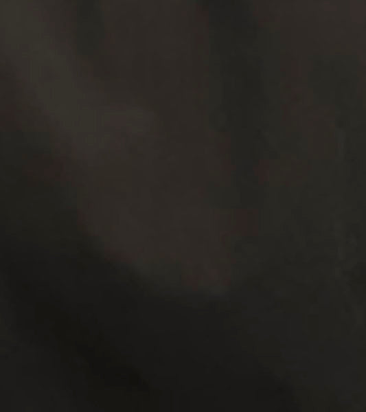 Stacy Adams Carson Dress Shirt Point Collar by Stacy Adams Shoes
