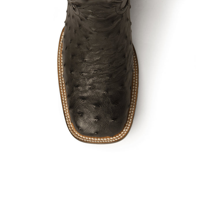 Ferrini Colt Full Quill Ostrich Boot