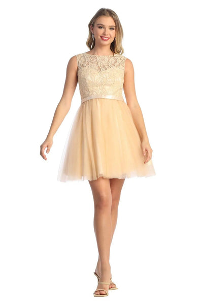 Cindy Collection 1432 Lace Bodice Tulle Mini Dress