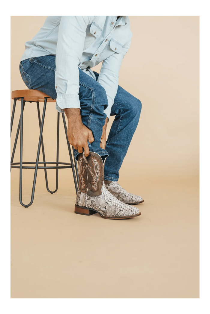 BRUTUS PYTHON BOOT