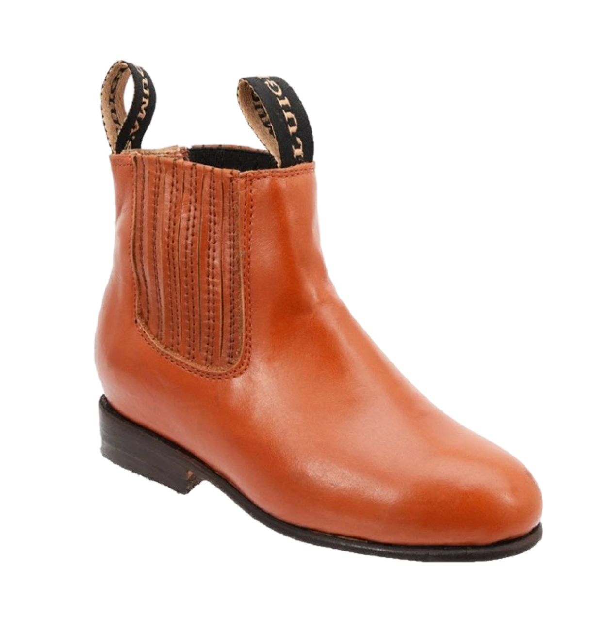 Botines Charros Para Niño