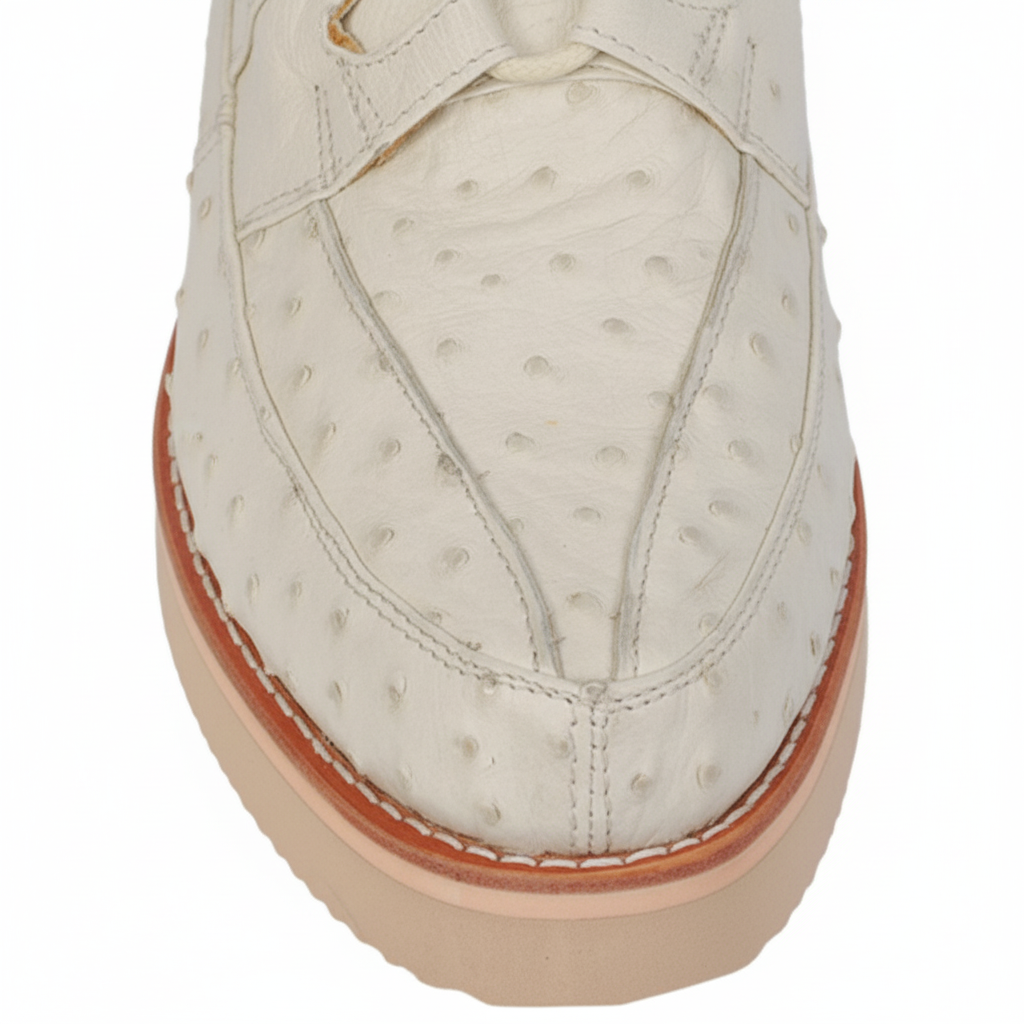 Zapato Avestruz Completo LAB-ZA0603