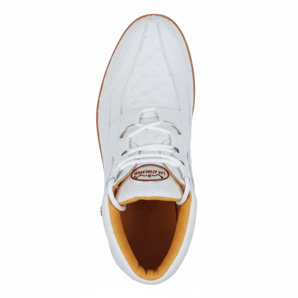 Zapato Avestruz Completo LAB-ZA0603