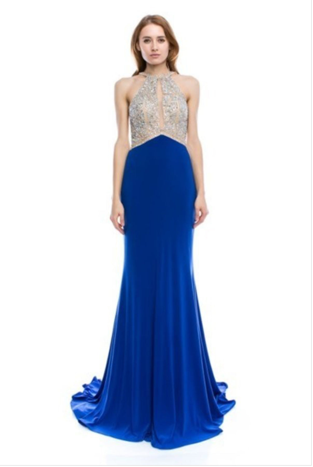Chicas C6023 Butterfly Long Floor-Length Formal Style Silk Dress