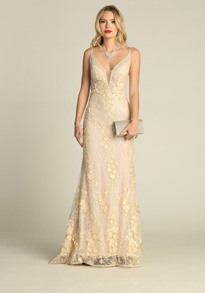 Chicas HF3058 Romantic Printed Prom Blush Illusion Floral Mesh Dress