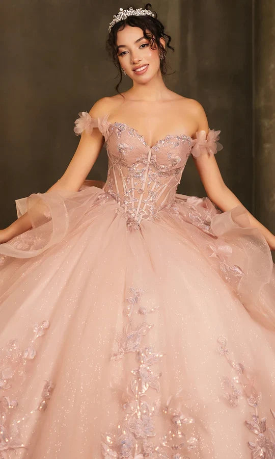 Layla K LK270 Off-Shoulder Floral Applique Ball Gown Quinceañera Dress-New Collection