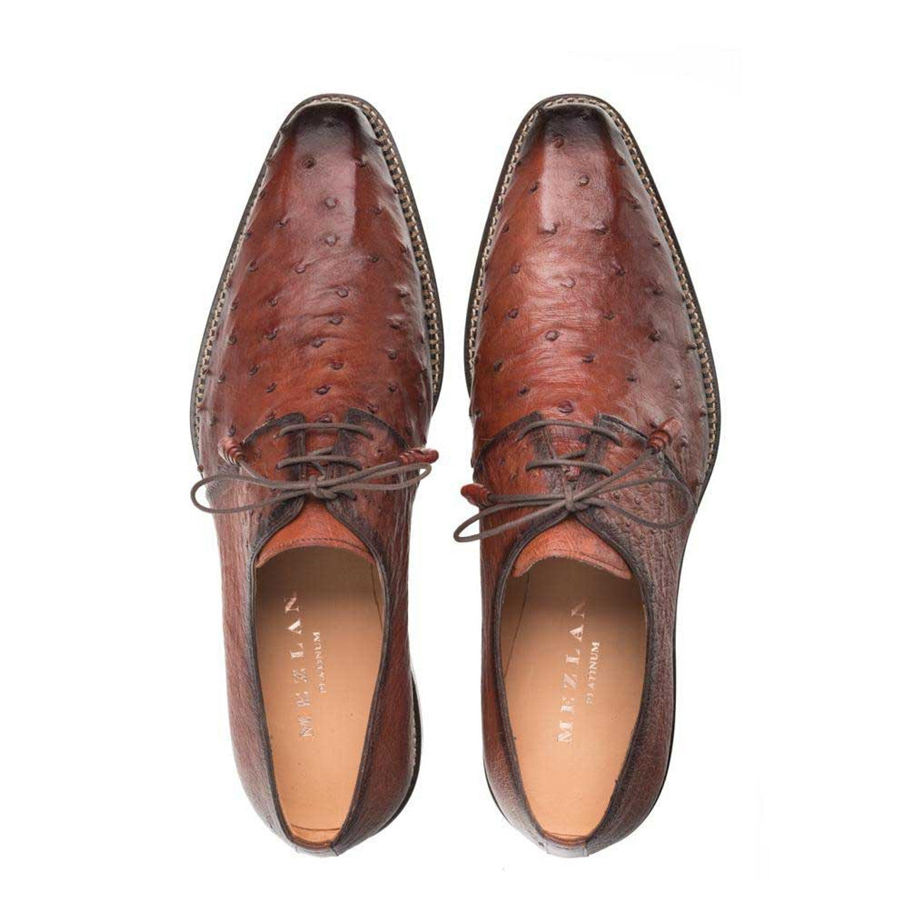 Tillson Brandy Ostrich Blucher by Mezlan