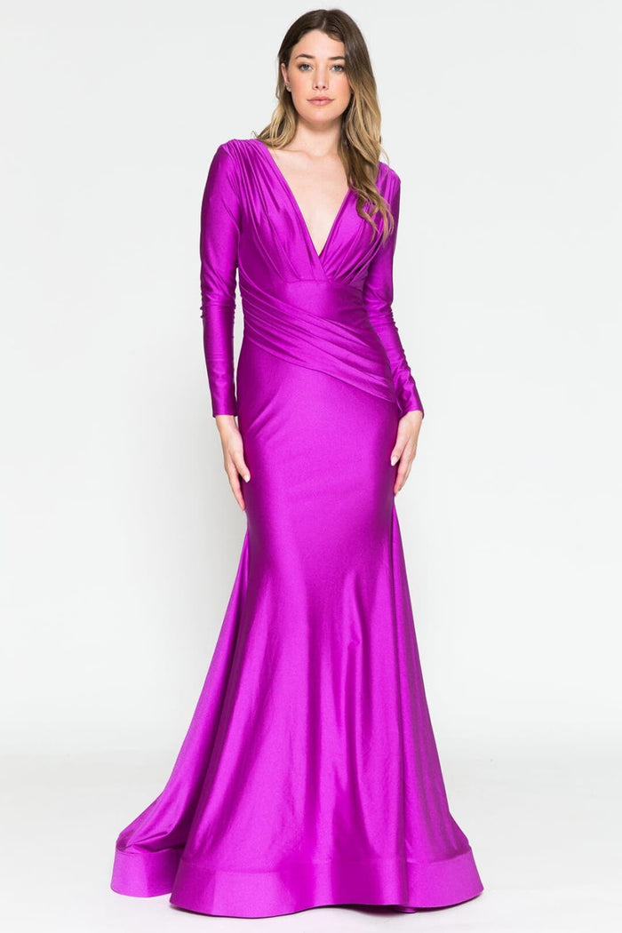 Long Sleeve Stretchy Evening Dress V-Neck Mermaid Simple Evening Prom Gown