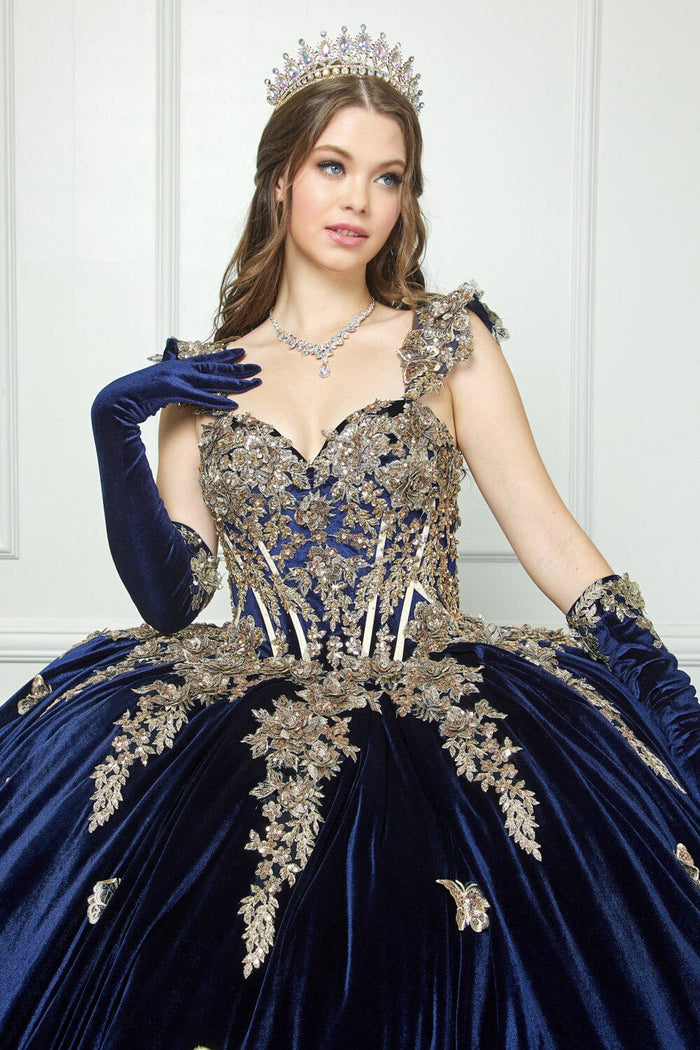 Applique Sweetheart Velvet Ball Gown by Bella Princess PQ1038