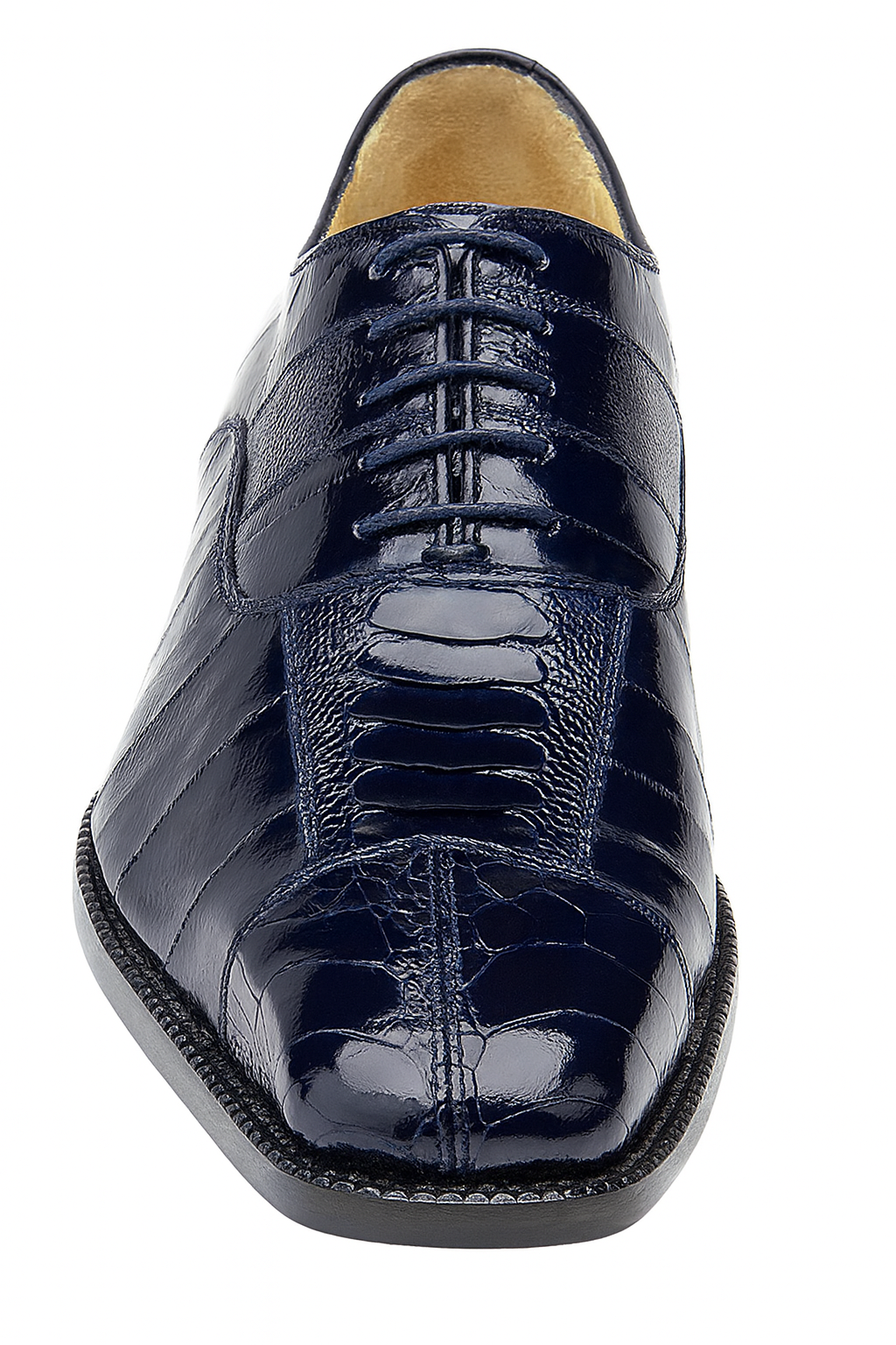 Belvedere Mare - Navy