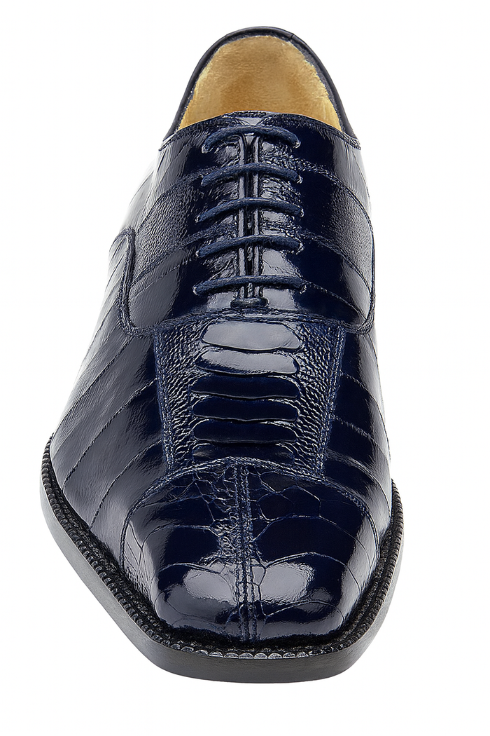 Belvedere Mare - Navy