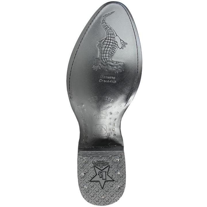 Botas Caiman Panza Horma Redonda LAB-658209