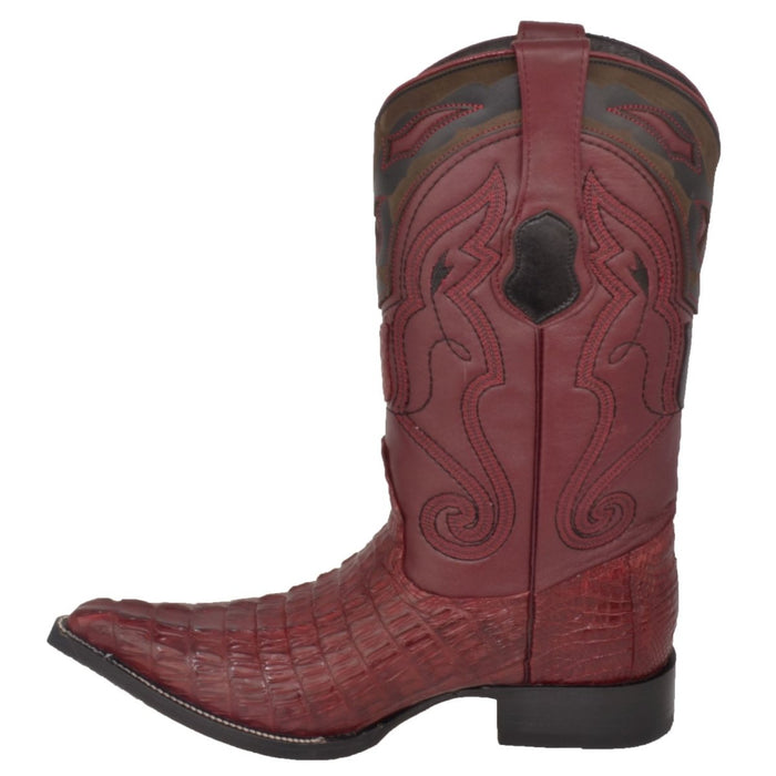 Botas de Cocodrilo Caiman Cola Punta 3X Aladino