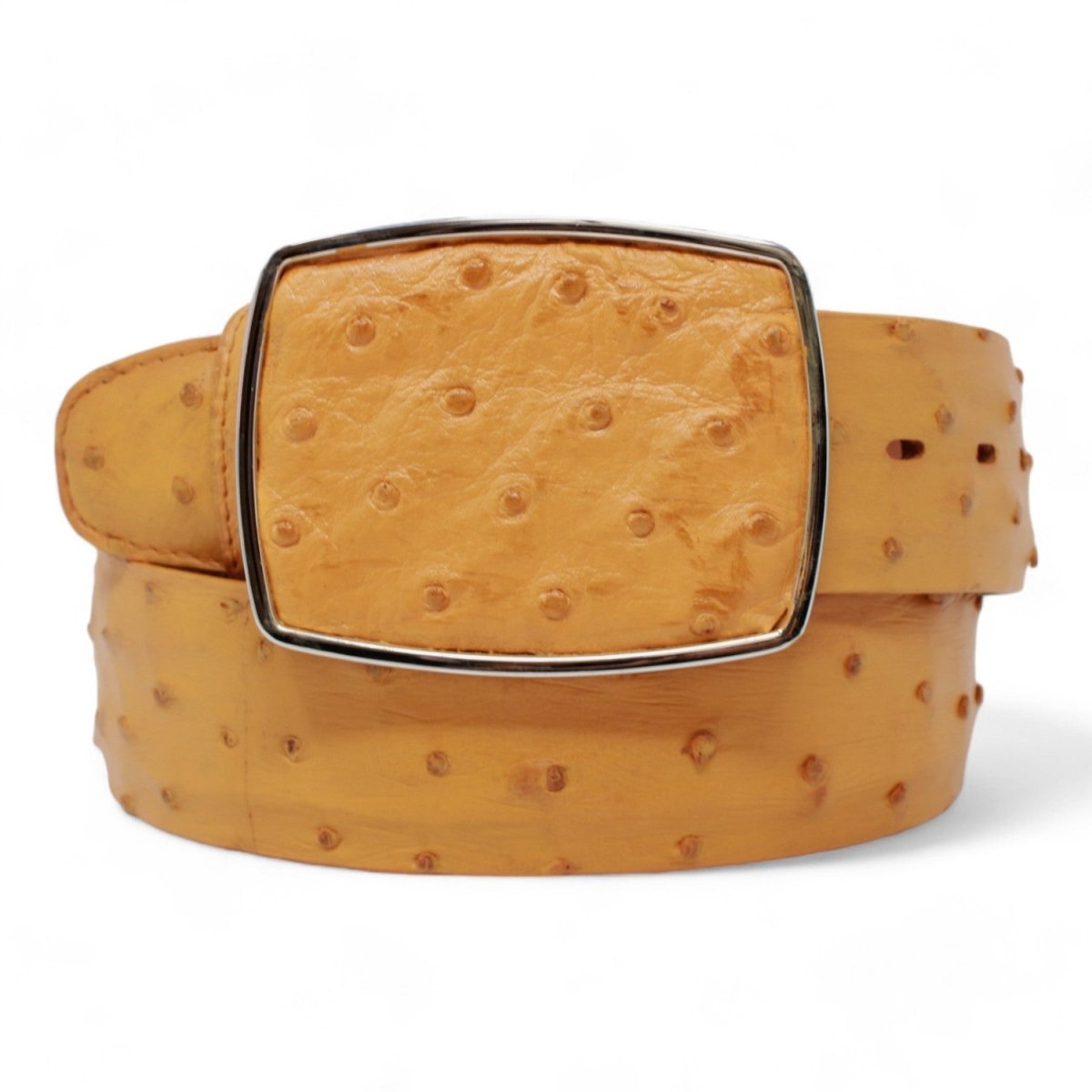 Cinto de Avestruz Original Vaquero LAB - C11A03 - Los Altos Boots