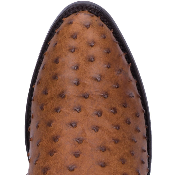 Tempe Full Quill Ostrich Boots by Dan Post