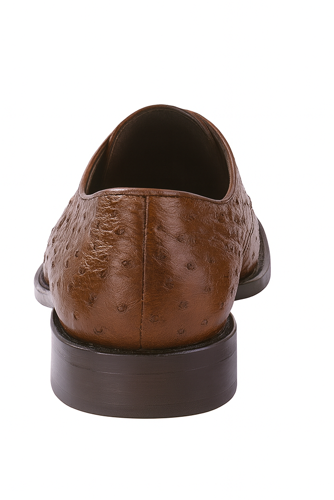 exotic-ostrich-oxford-shoe