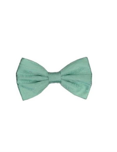 Mens Formal - Wedding Bowtie - Prom Mint Green Paisley Bowtie