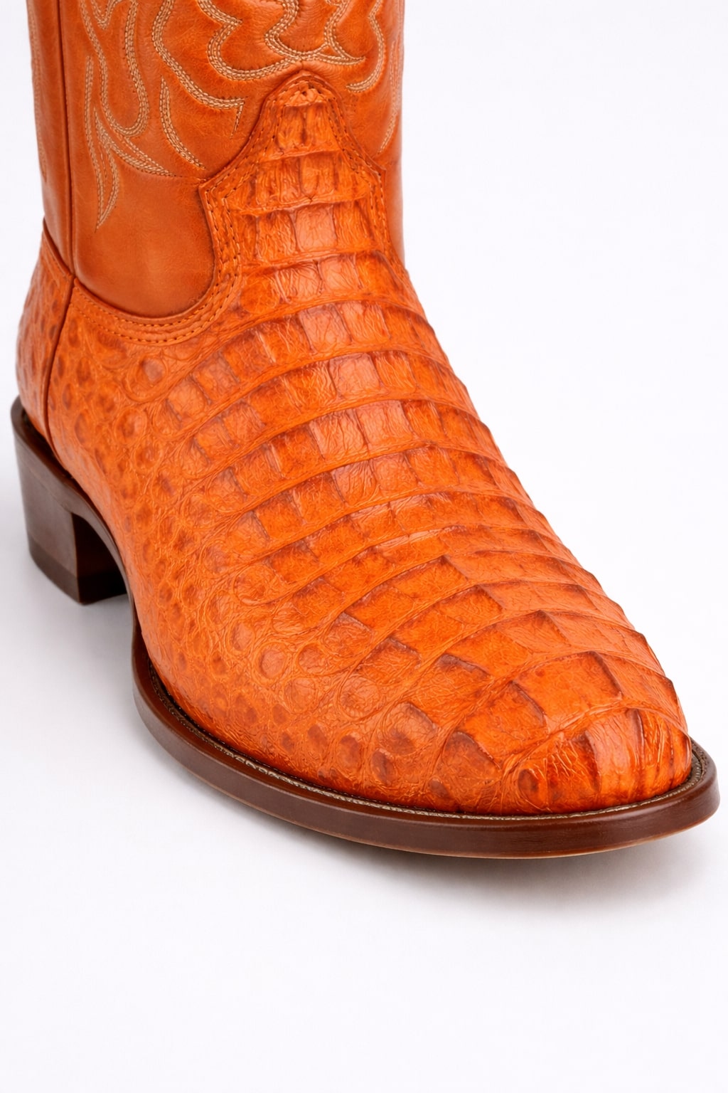 Caiman Hornback Cowboy Boots by King Exotic