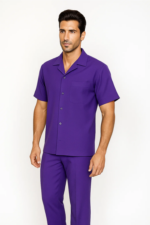 Mens Walking Suit in Color purple leisure suit casual Matching Shirt and Pants $99