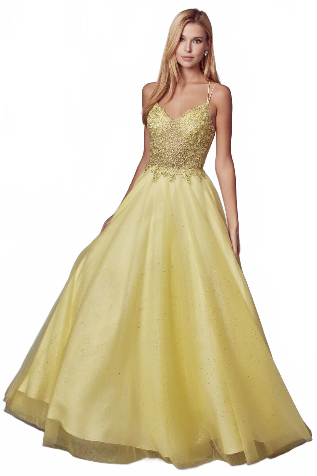 Embroidered Tulle Sparkle Gown by Juliet 268