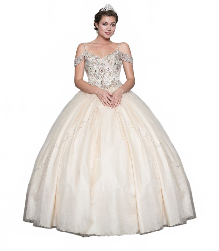 Cold-Shoulder Beaded Quinceañera Dress with A-Line Tulle Skirt by Calla Collection KY-78011
