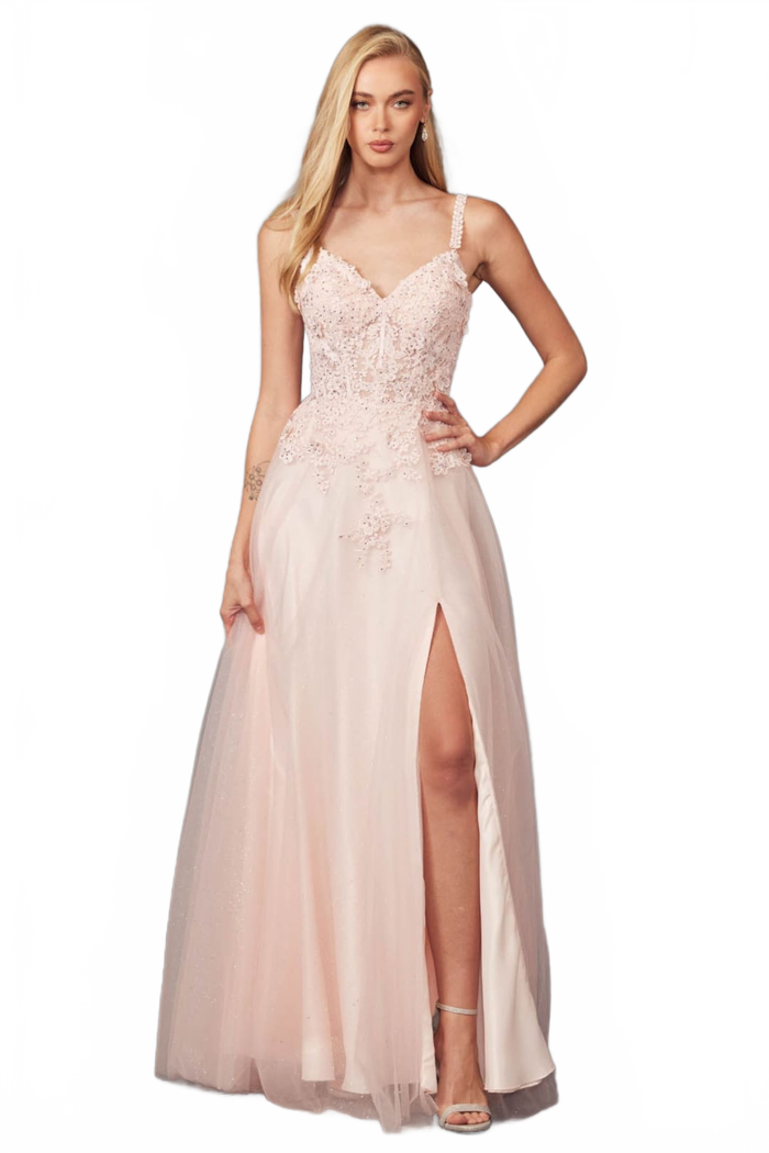 Floral Appliqué A-Line Gown by Juliet 283