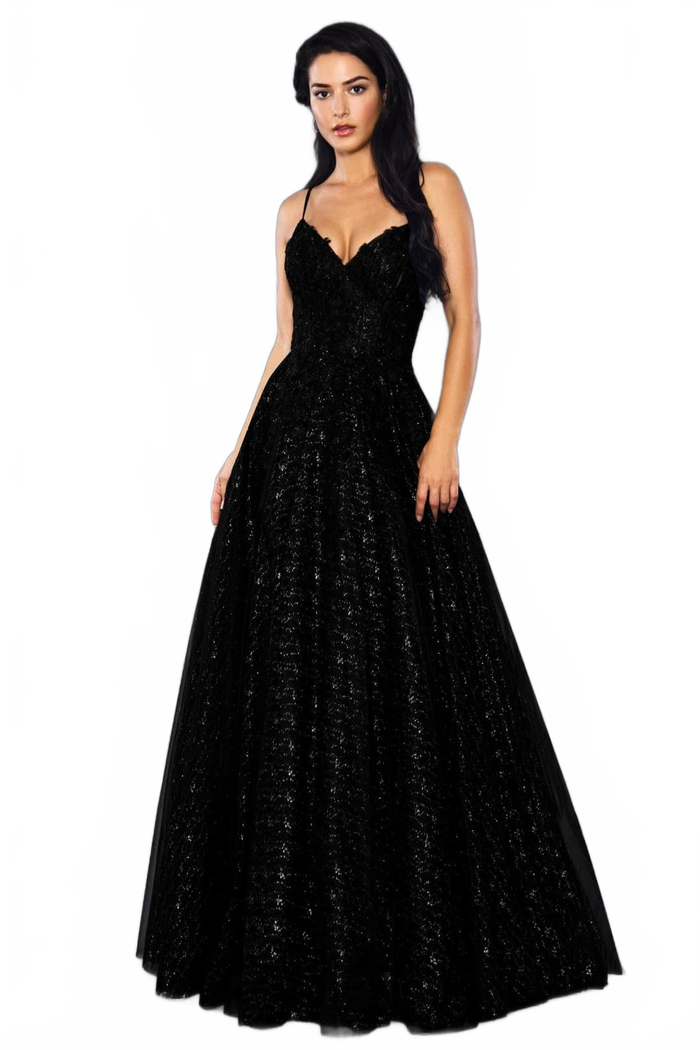 Stella Couture 21036 Strappy Back Embroidered A-Line Long Prom Dress
