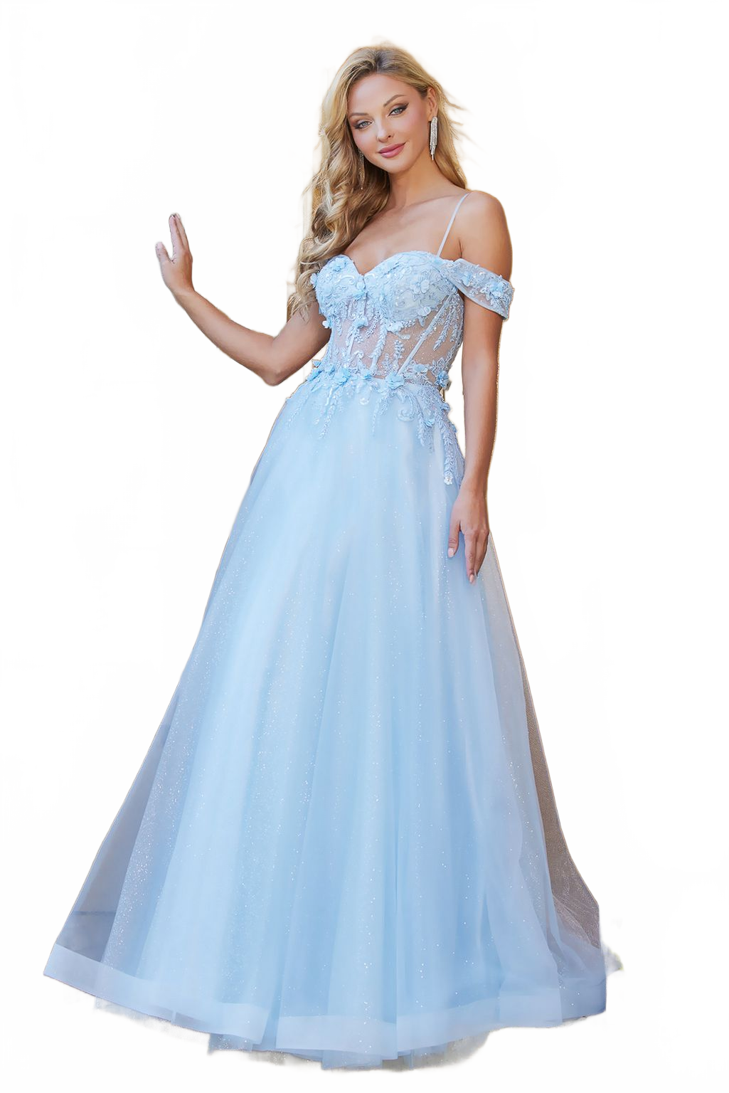 Adora Design 3109 Off Shoulder 3D Floral Applique A-Line Prom Dress