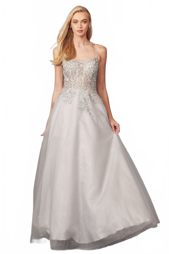 Silver A-Line Evening Dress Applique Sleeveless Corset Gown by Juliet 295