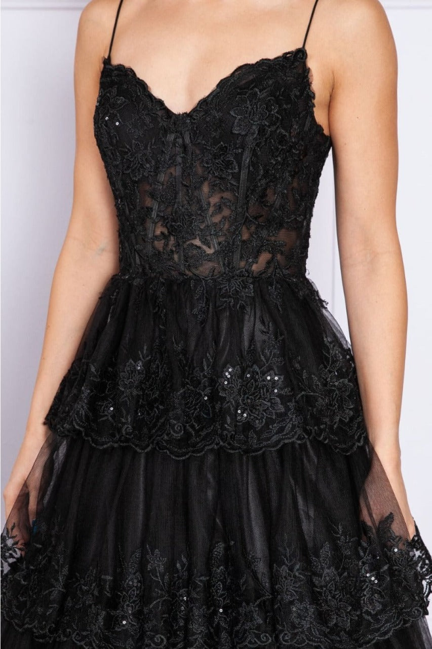 Poly USA 9402 Sleeveless Sheer Bodice Layered Embellished Evening Gown